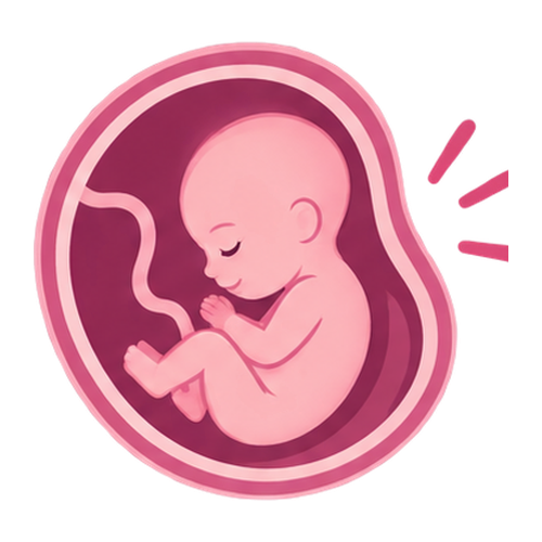Una mirada detallada al desarrollo de tu bebé